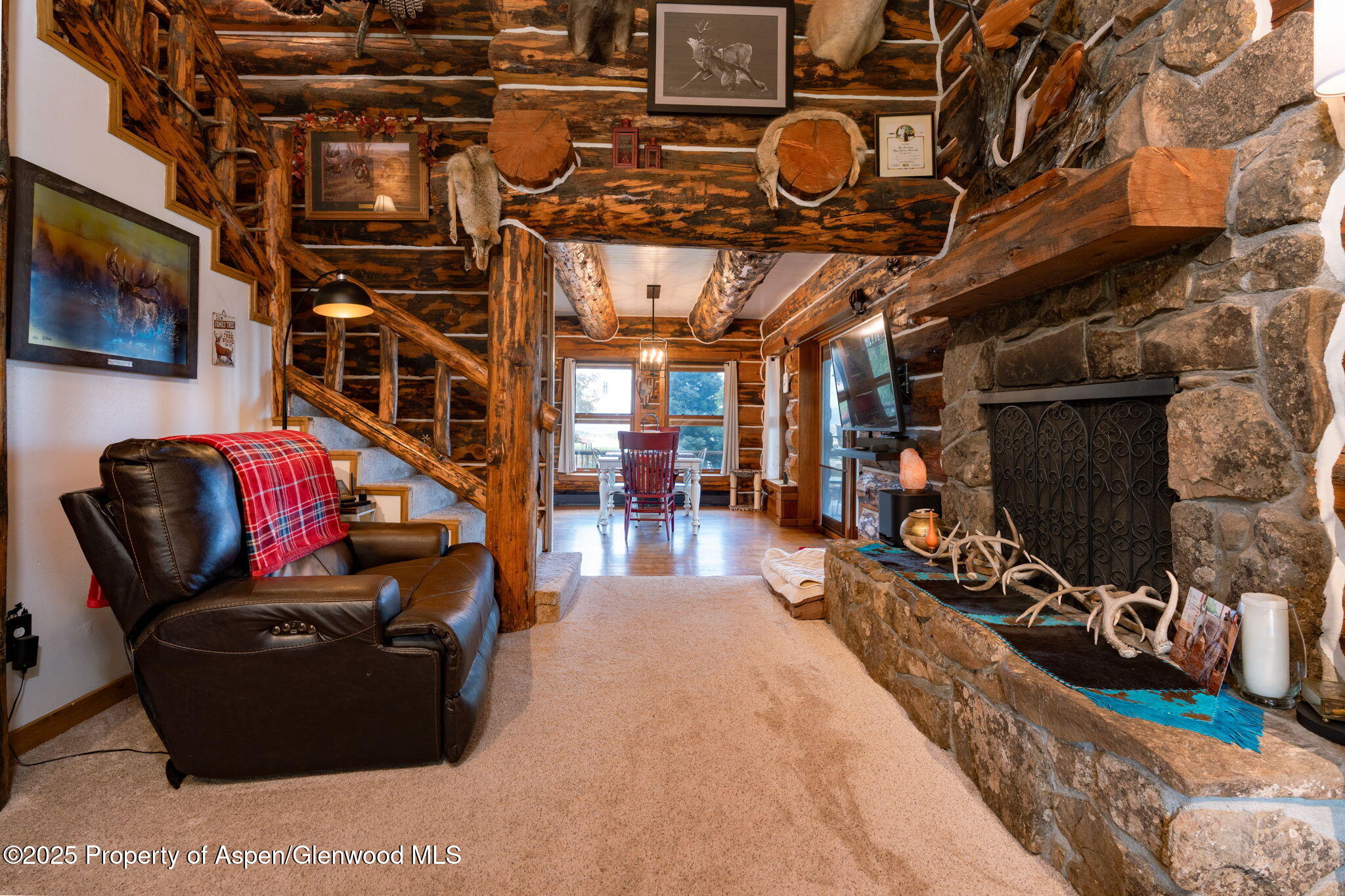 1334 County Road 250 Silt, CO 81652 - Photo 5 of 47 3-web-or-mls-1334 Co Rd 250-2