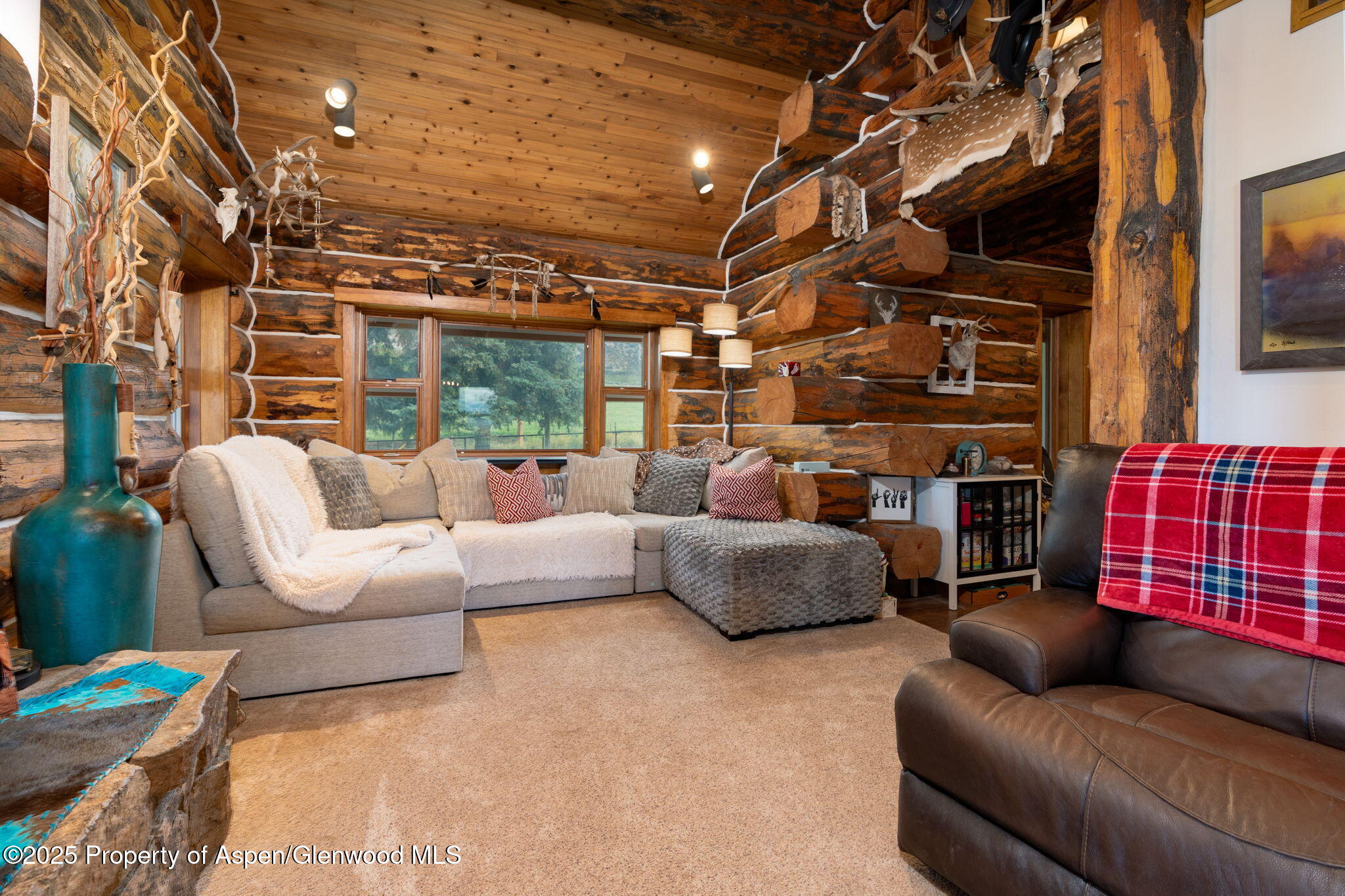 1334 County Road 250 Silt, CO 81652 - Photo 6 of 47 2-web-or-mls-1334 Co Rd 250