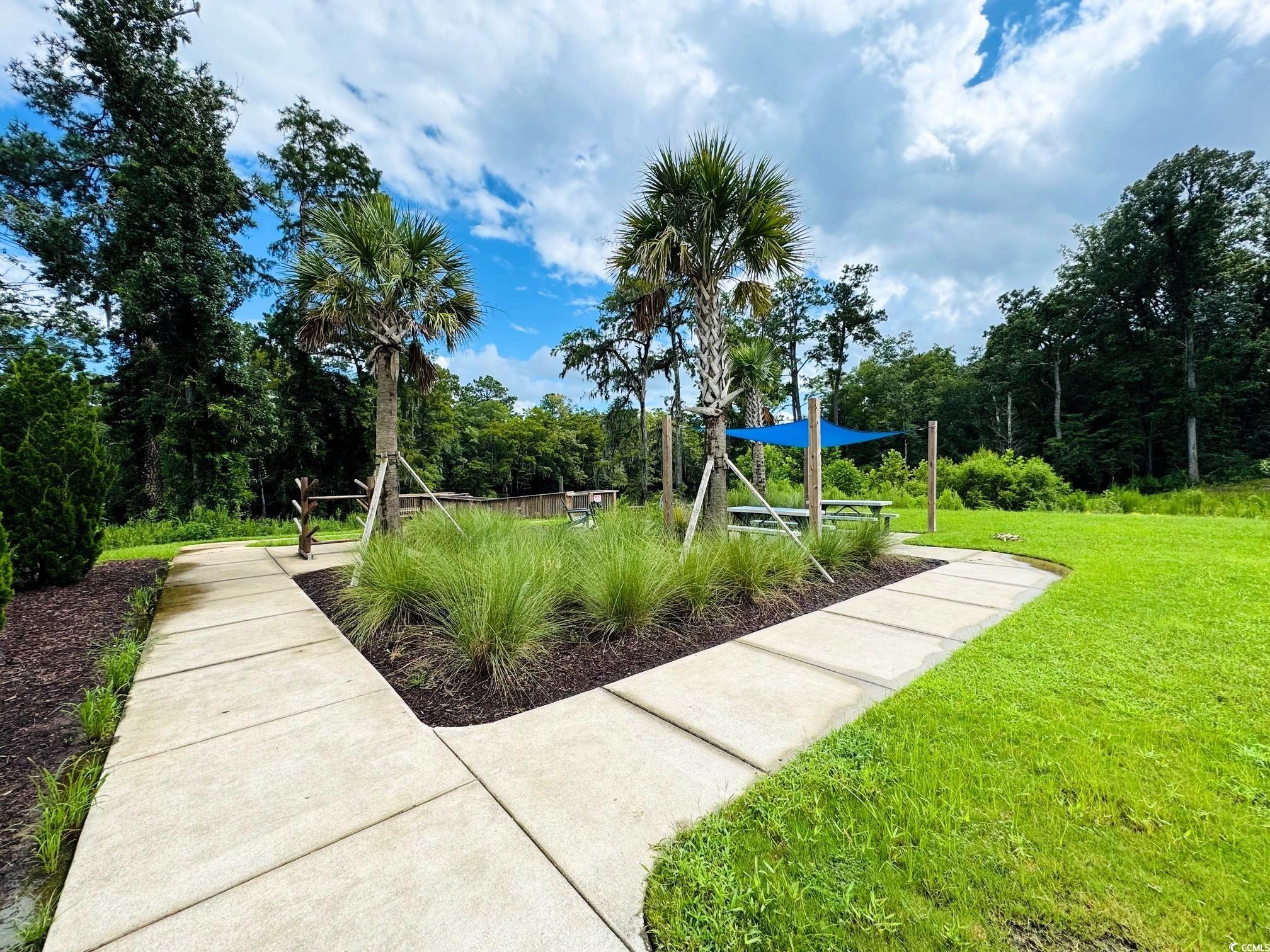 586 Honeyhill Loop Conway, SC 29526 - Photo 12 of 31 View of community with a yard and a wooded view