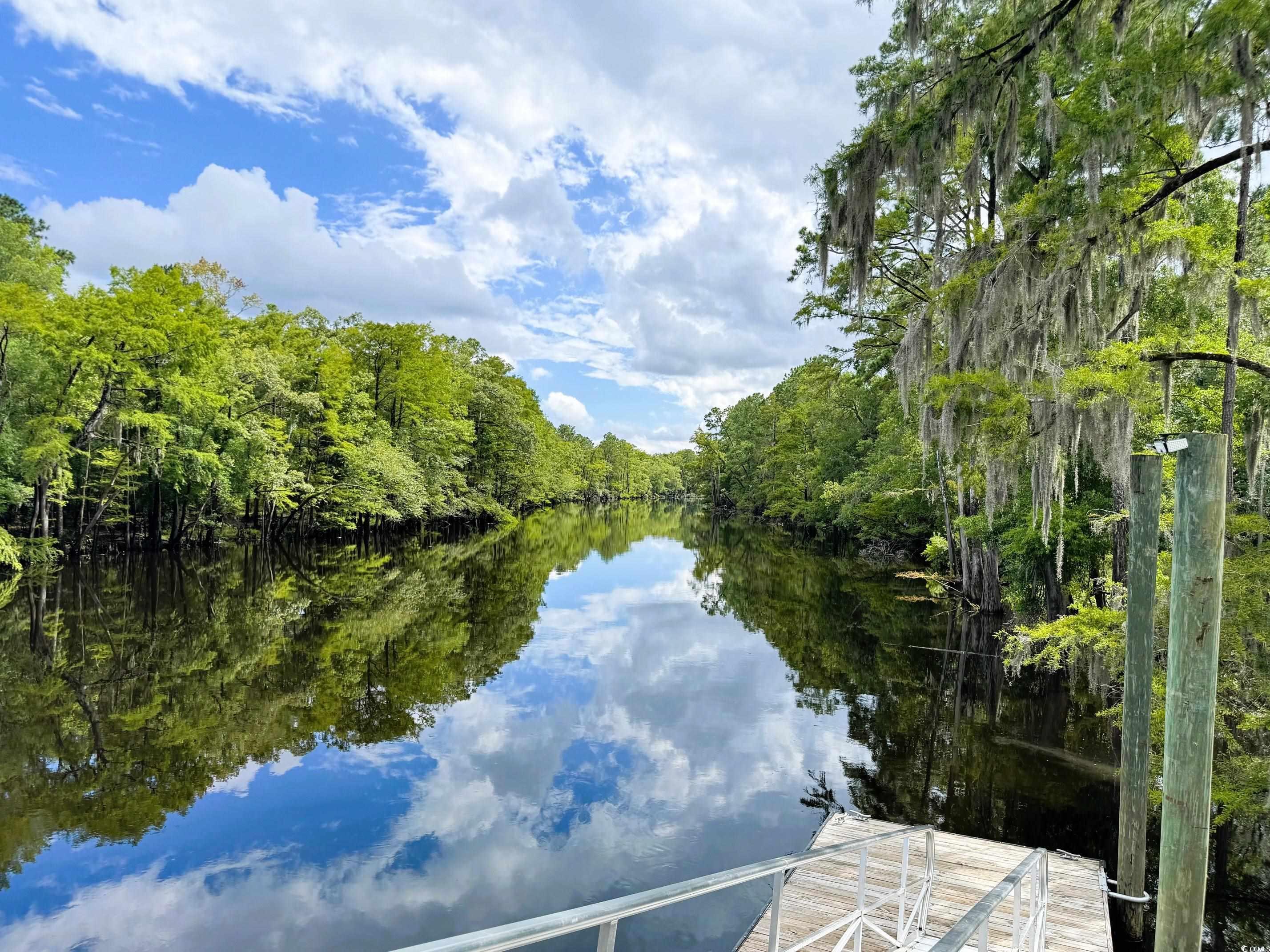 586 Honeyhill Loop Conway, SC 29526 - Photo 13 of 31 Dock featuring a water view and a forest view