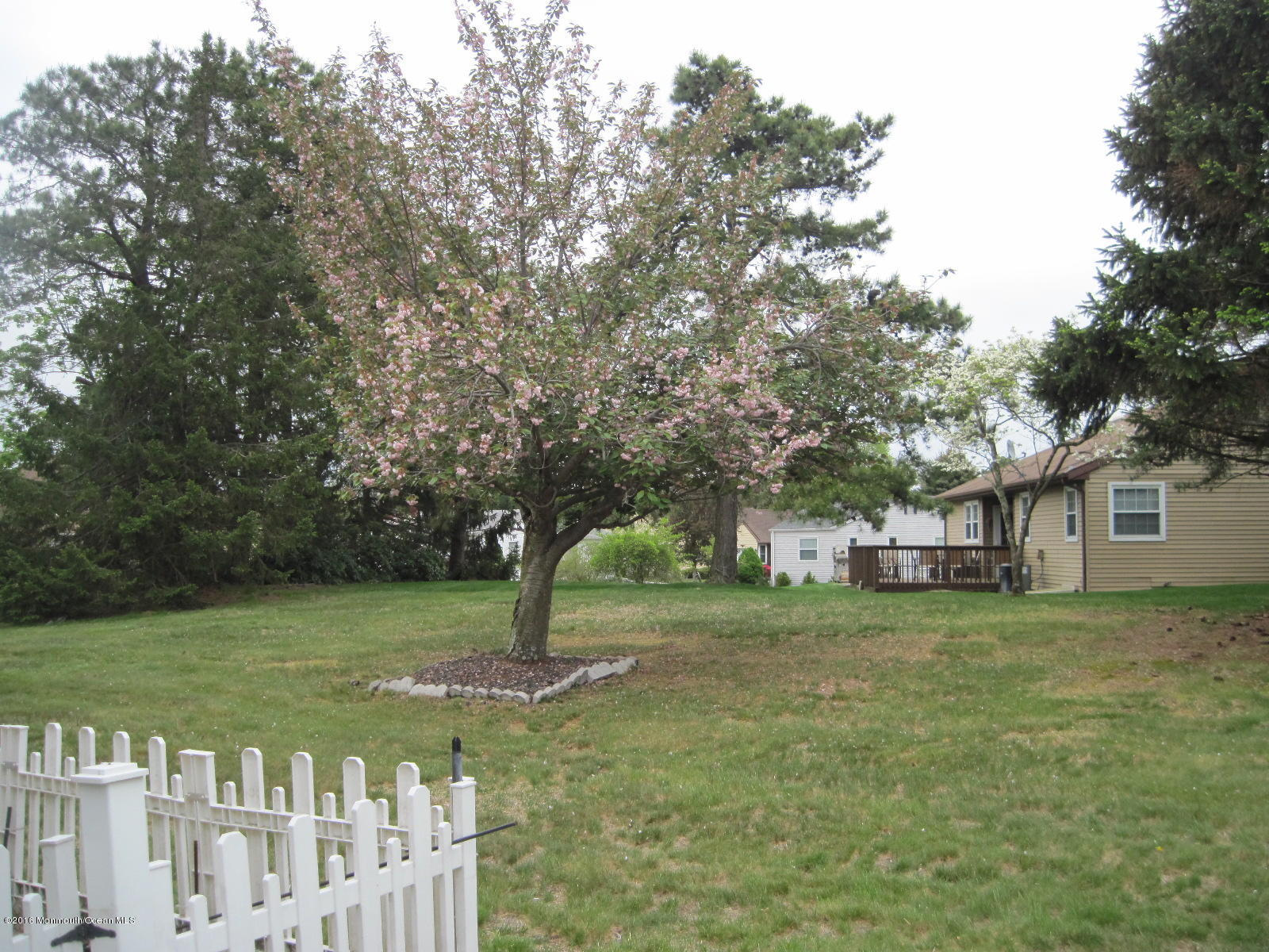21 Mill Road Whiting, NJ 08759 - Photo 3 of 17 IMG_1893