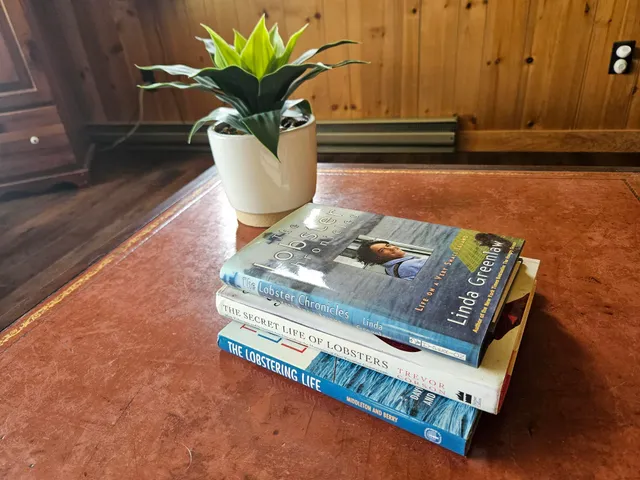 $499,999 | 42 Old Mill Road, Bristol, ME 04554