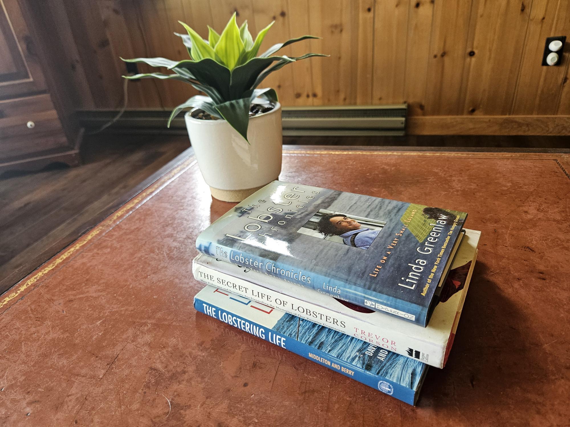 42 Old Mill Road Bristol, ME 04554 - Photo 13 of 65 LR