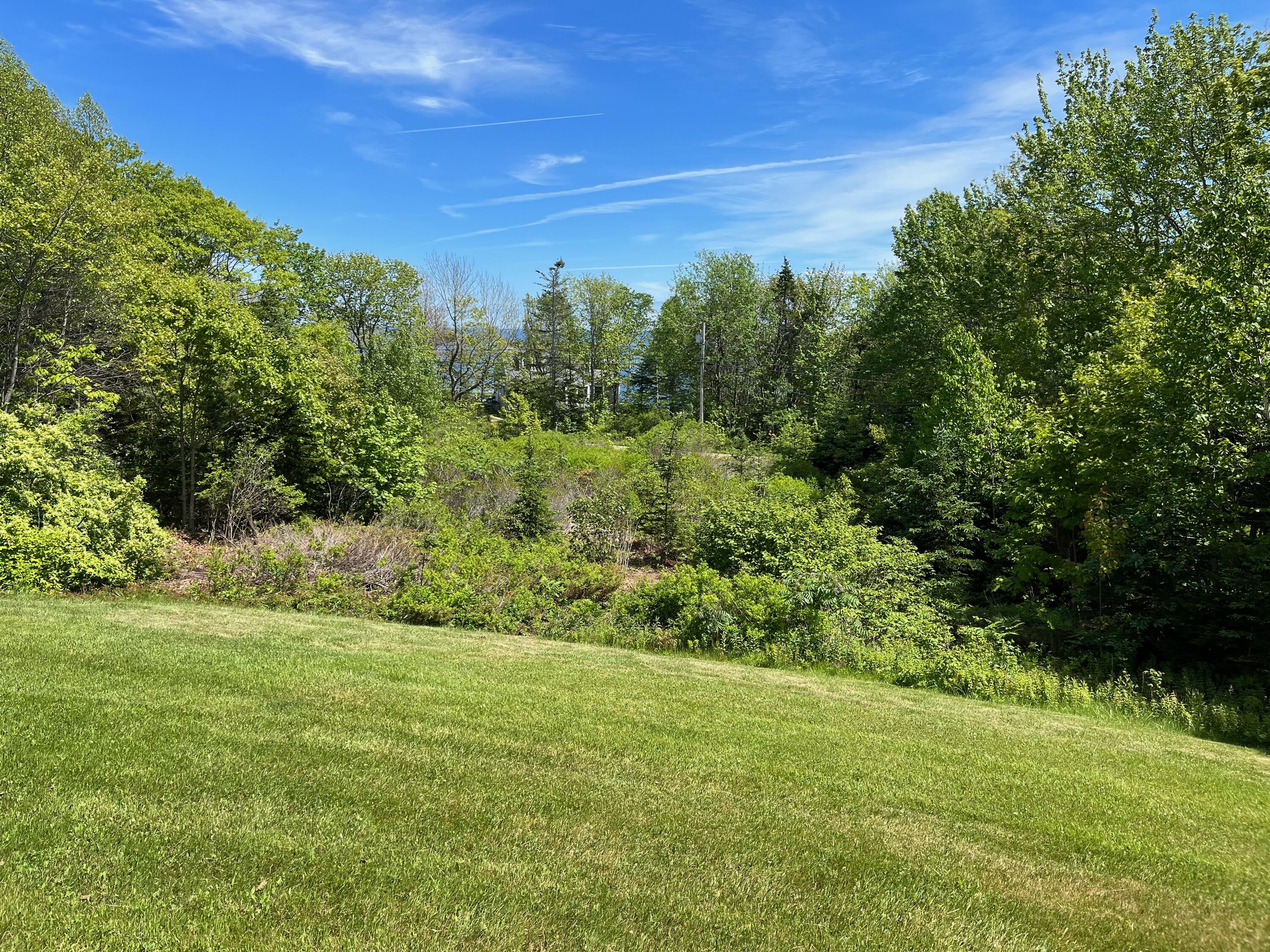 42 Old Mill Road Bristol, ME 04554 - Photo 40 of 65 Summer View