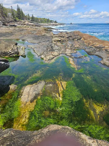 $499,999 | 42 Old Mill Road, Bristol, ME 04554