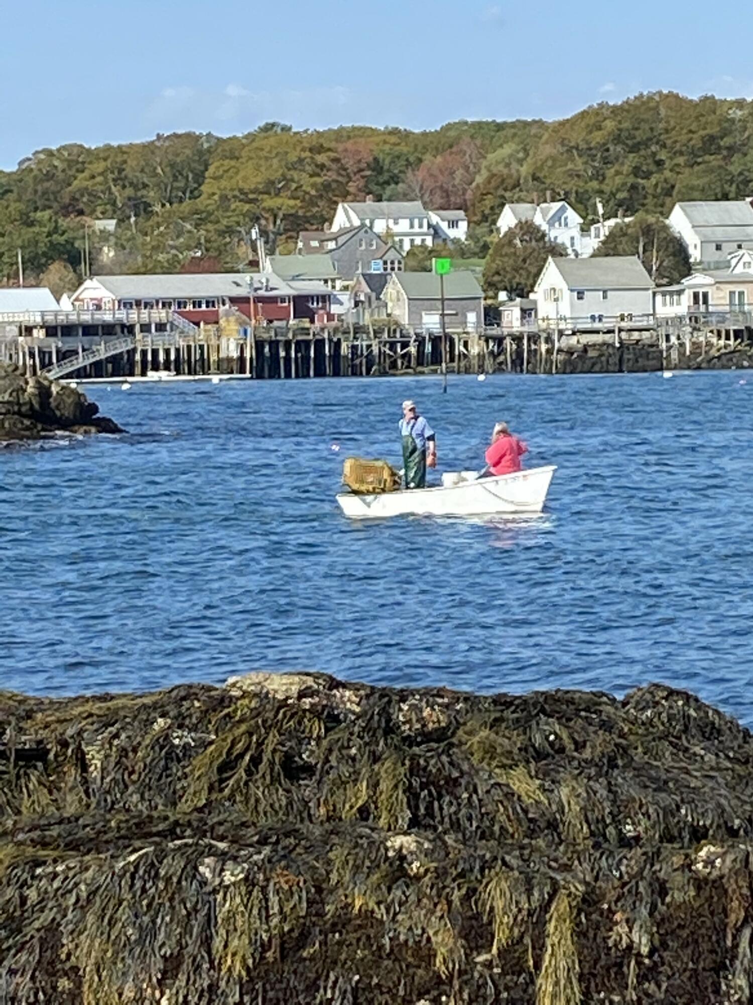 42 Old Mill Road Bristol, ME 04554 - Photo 60 of 65 New Harbor