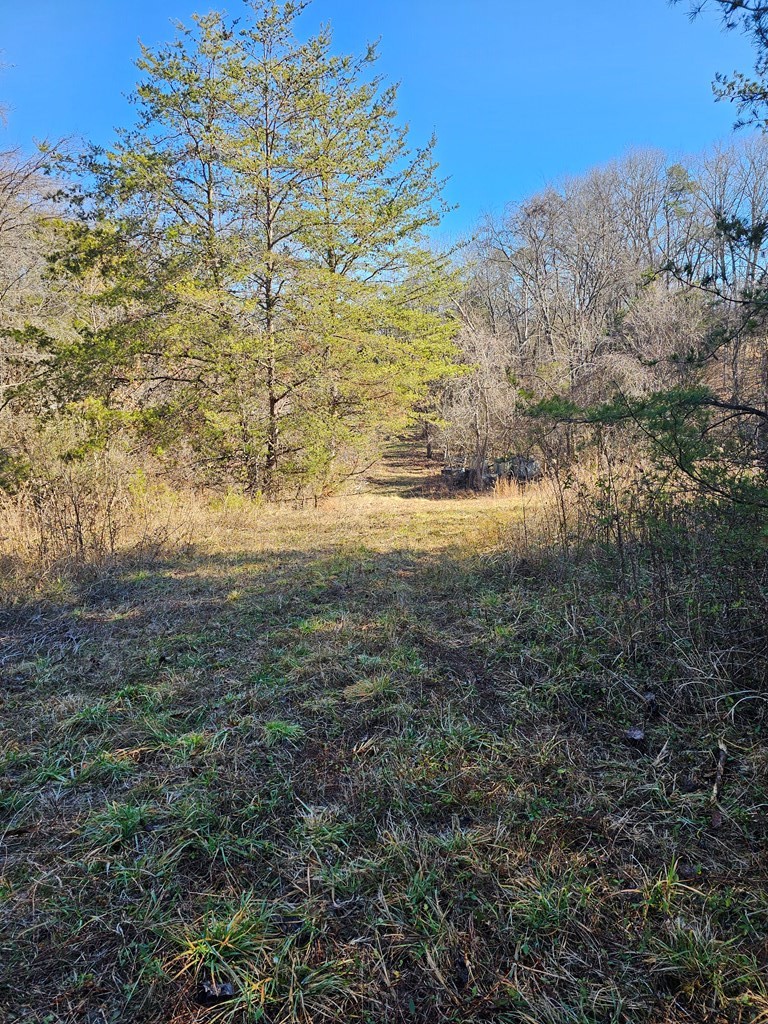 1007 Spring Creek Road Dandridge, TN 37725 - Photo 9 of 11