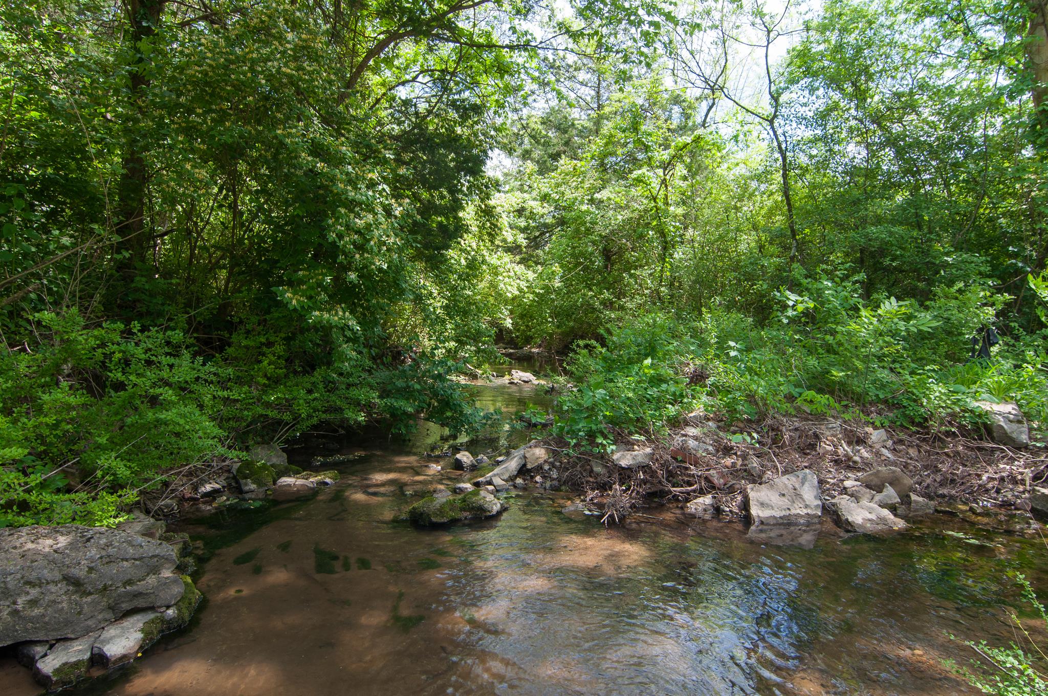 4455 Cato Road Nashville, TN 37218 - Photo 12 of 30 The rear of the lot abuts a small creek.