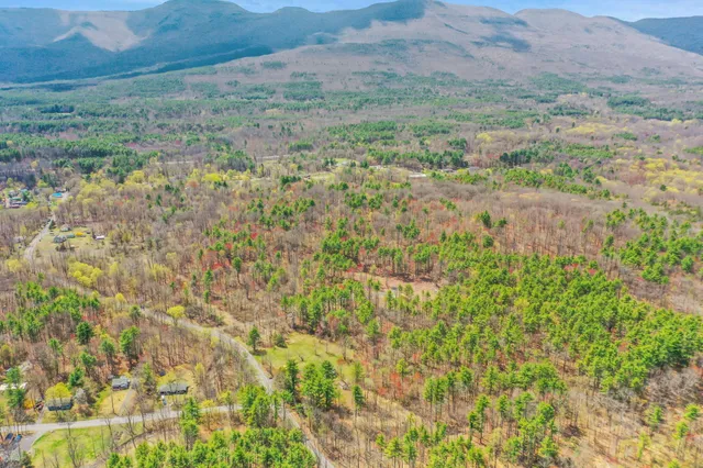 a view of a field with trees in the background