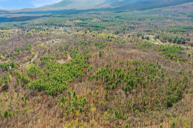 a view of a field with an trees