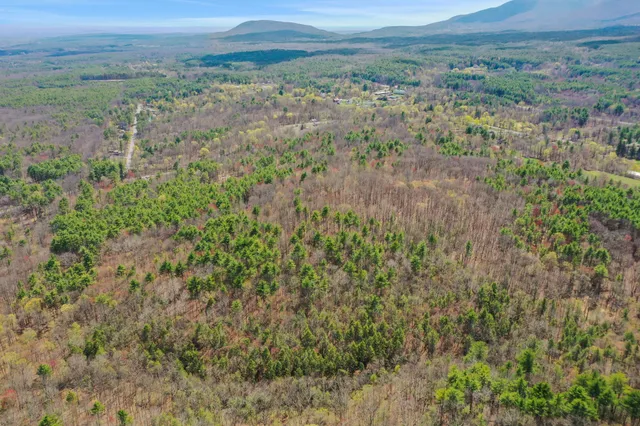 a view of a lush green field