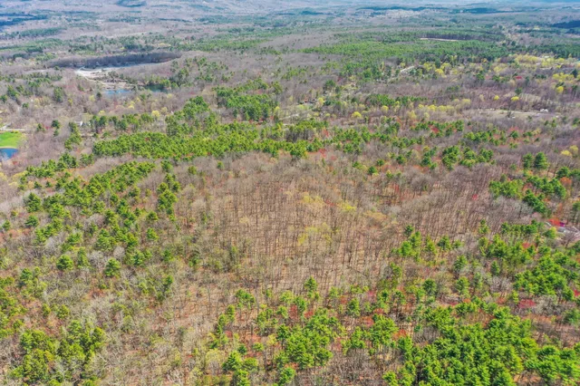 a view of a yard with an outdoor space