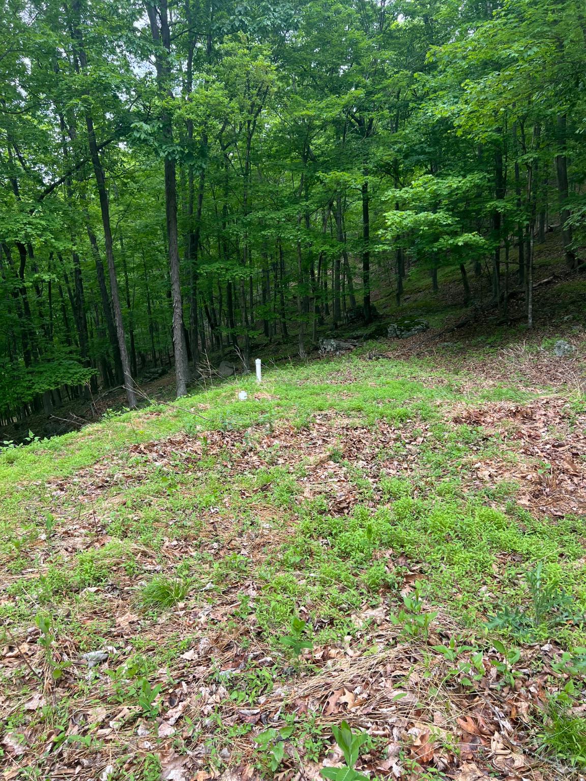 Edgar Lane Upper Tract, WV 26866 - Photo 4 of 22 Installed septic adds cabin/RV potential.