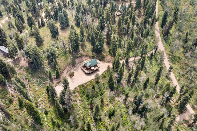 1782 Pine Loop Road Coalville, UT 84017 - Photo 45 of 52 Wooded surroundings with a gravel driveway and pathways
