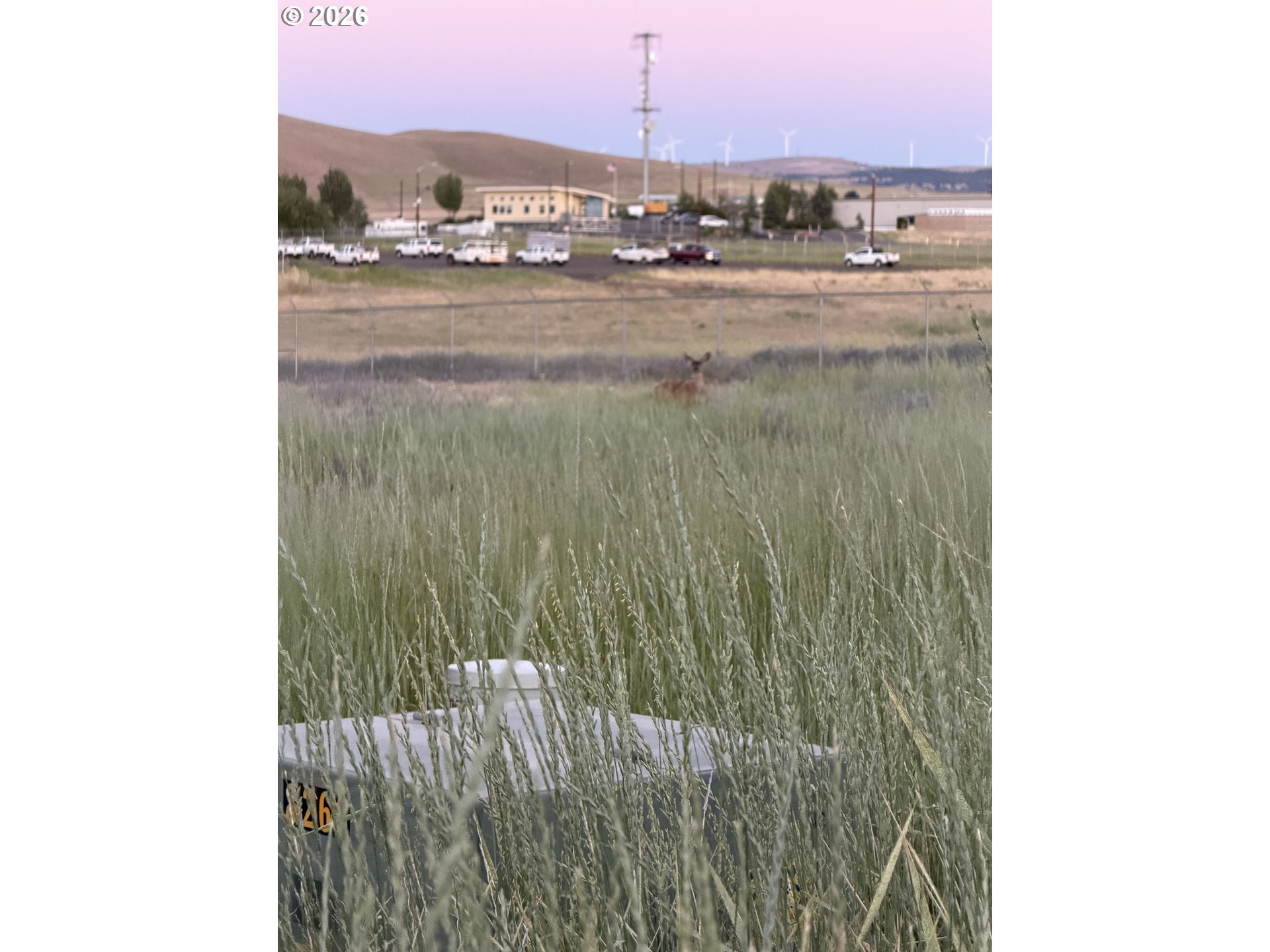 West Nesbitt Street Goldendale, WA 98620 - Photo 4 of 5