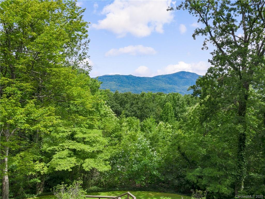 434 Hogback Mountain Road Tryon, NC 28782 - Photo 37 of 37 a view of a lush green forest
