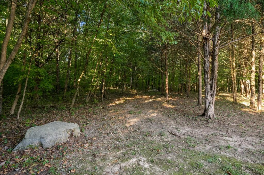 4272 Alsup Mill Road Lascassas, TN 37085 - Photo 60 of 69 Gallery Image 60