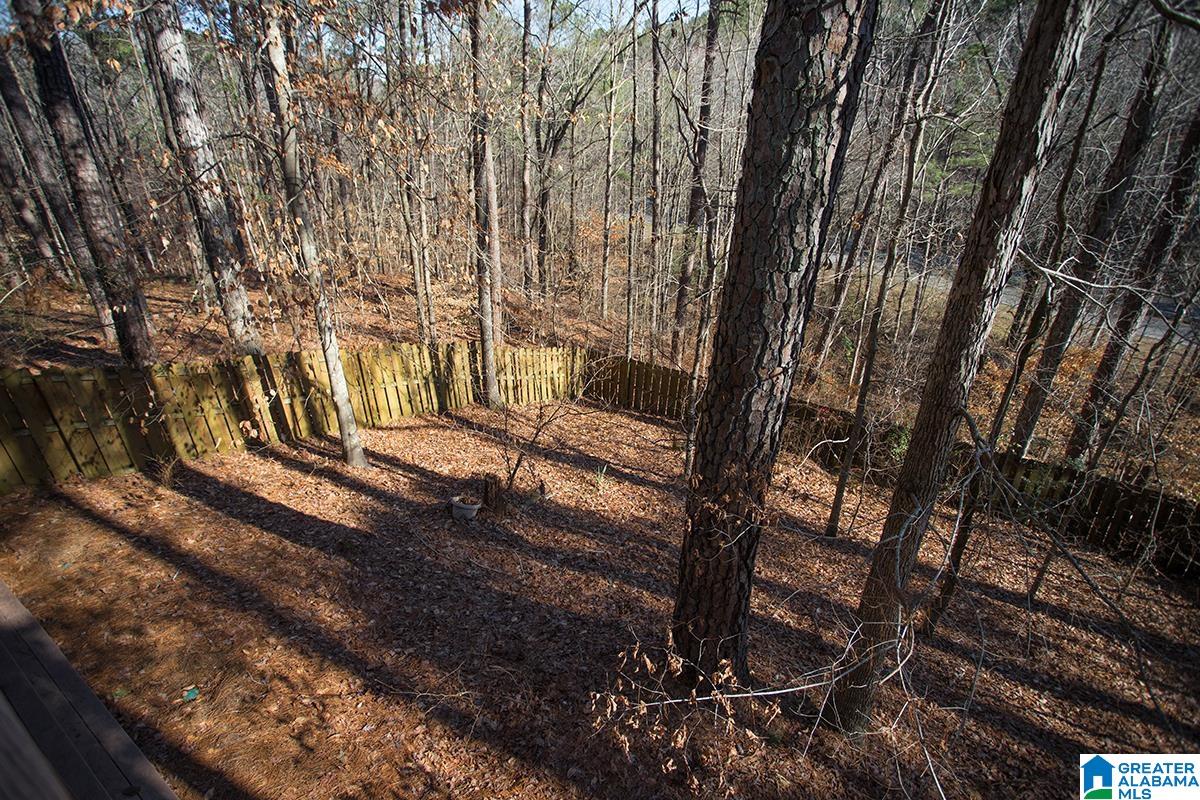 724 Dividing Ridge Drive Birmingham, AL 35244 - Photo 44 of 52