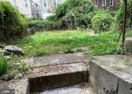 a view of a garden with a bench