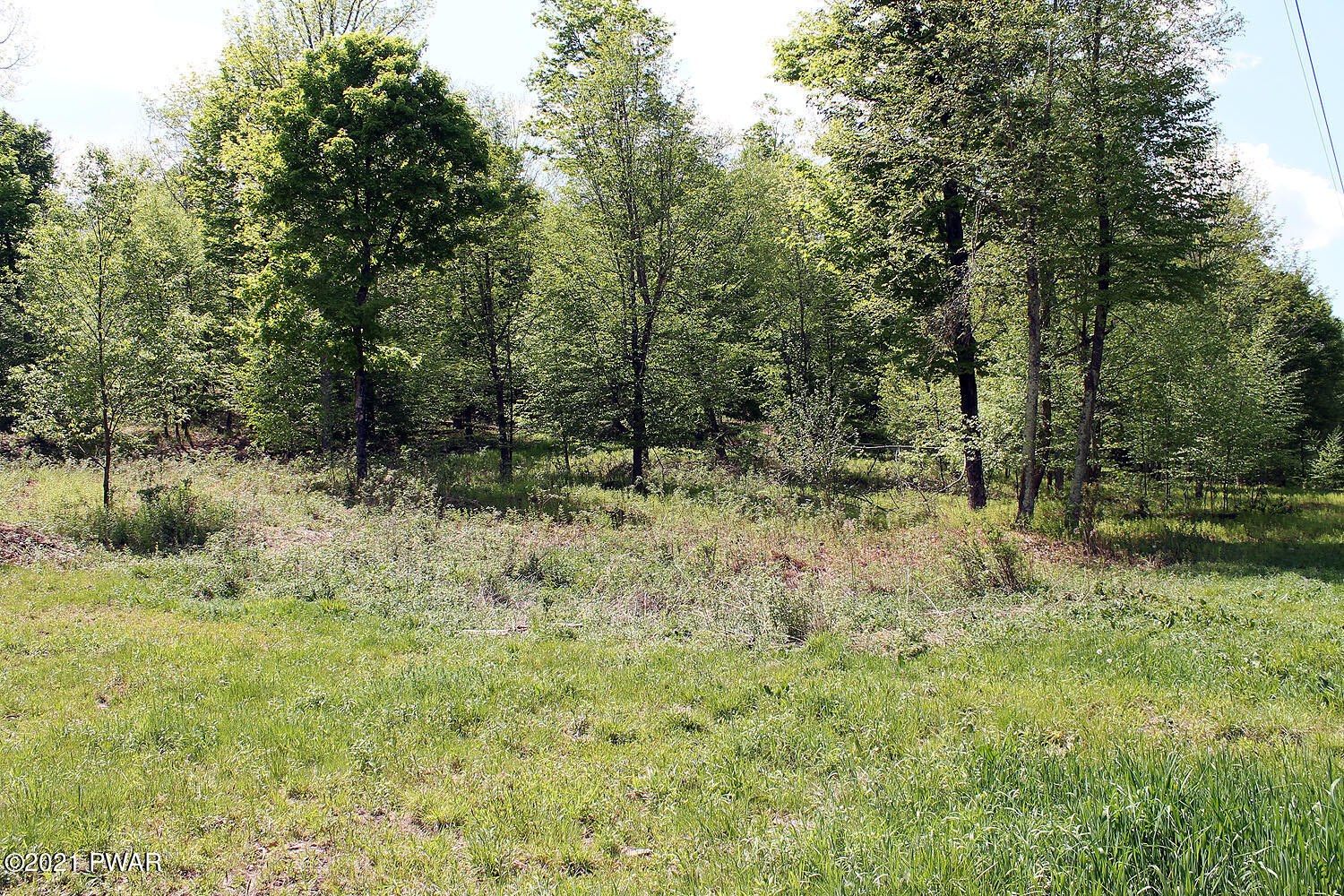 1 Robbs Road Damascus, PA 18415 - Photo 8 of 18 IMG_3520