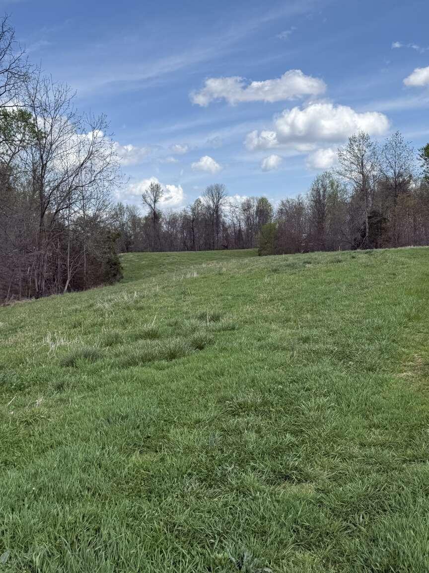 5483 Subtle Road Edmonton, KY 42129 - Photo 22 of 23 Purvis.22