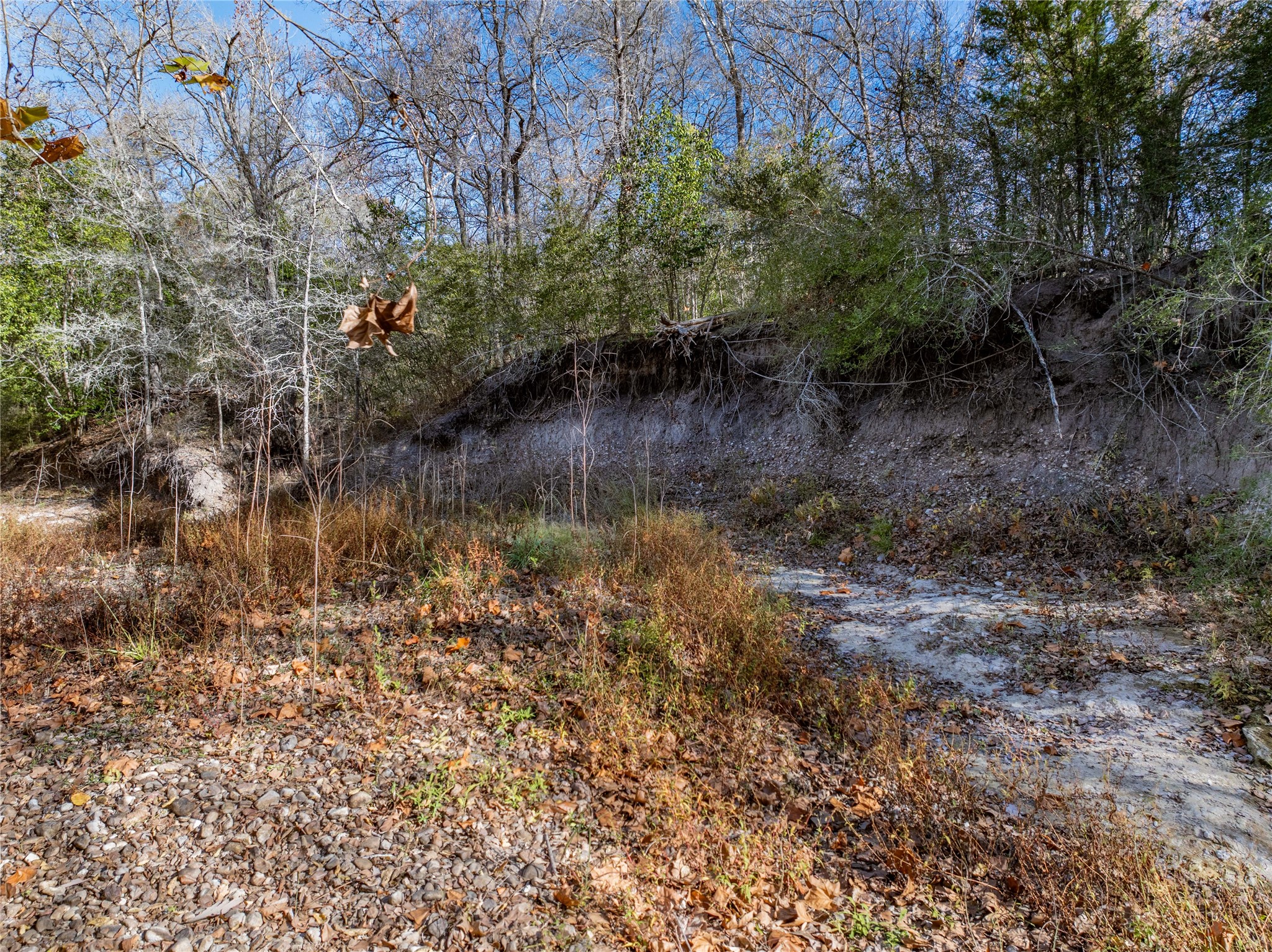 Tbd Bauer Rummel Road Round Top, TX 78954 - Photo 14 of 26 a view of a lake with lots of trees