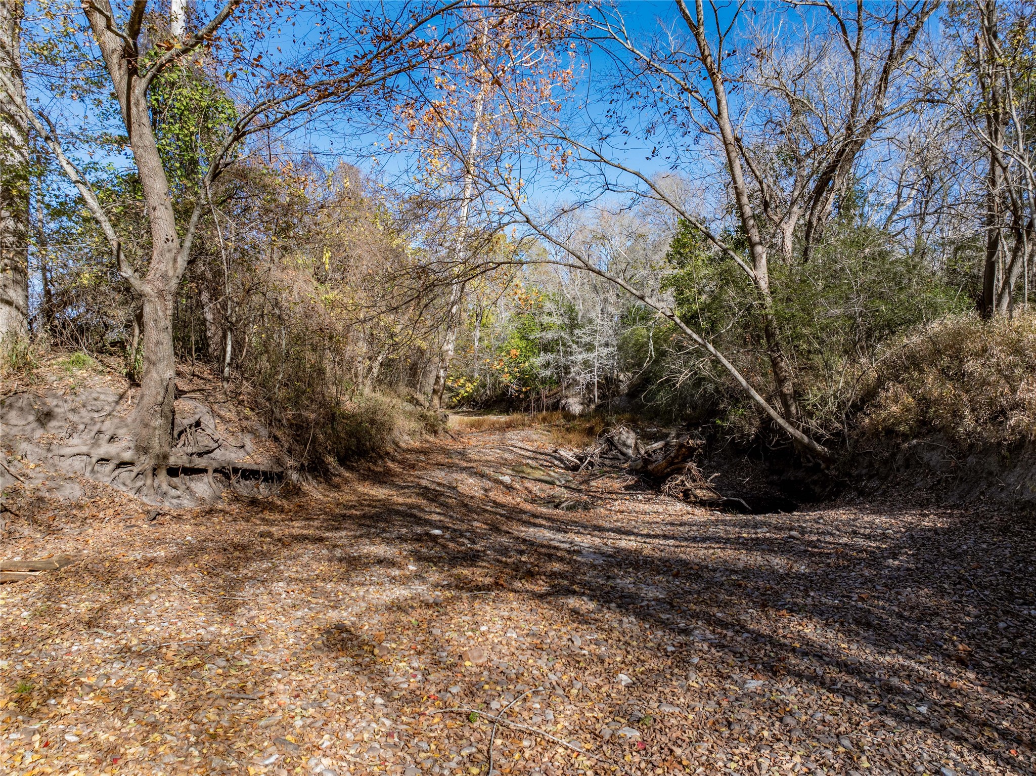 Tbd Bauer Rummel Road Round Top, TX 78954 - Photo 15 of 26 a view of a yard with plants and trees