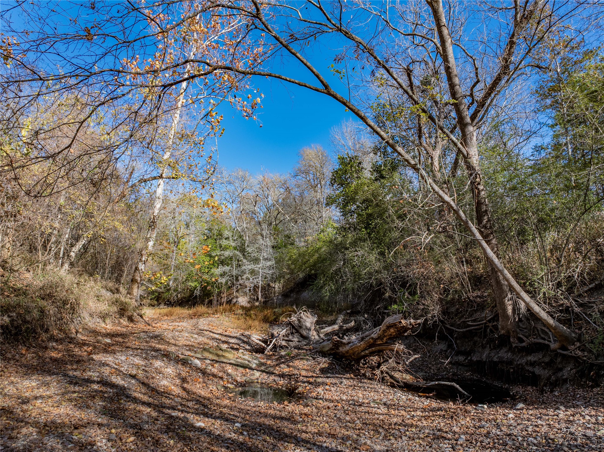 Tbd Bauer Rummel Road Round Top, TX 78954 - Photo 18 of 26 a view of a backyard of the house