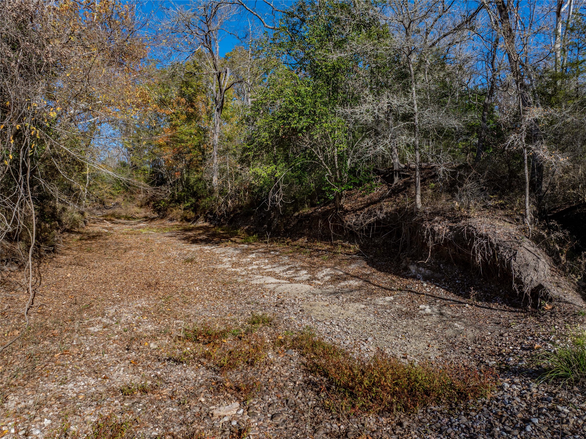 Tbd Bauer Rummel Road Round Top, TX 78954 - Photo 20 of 26 a view of outdoor space and yard