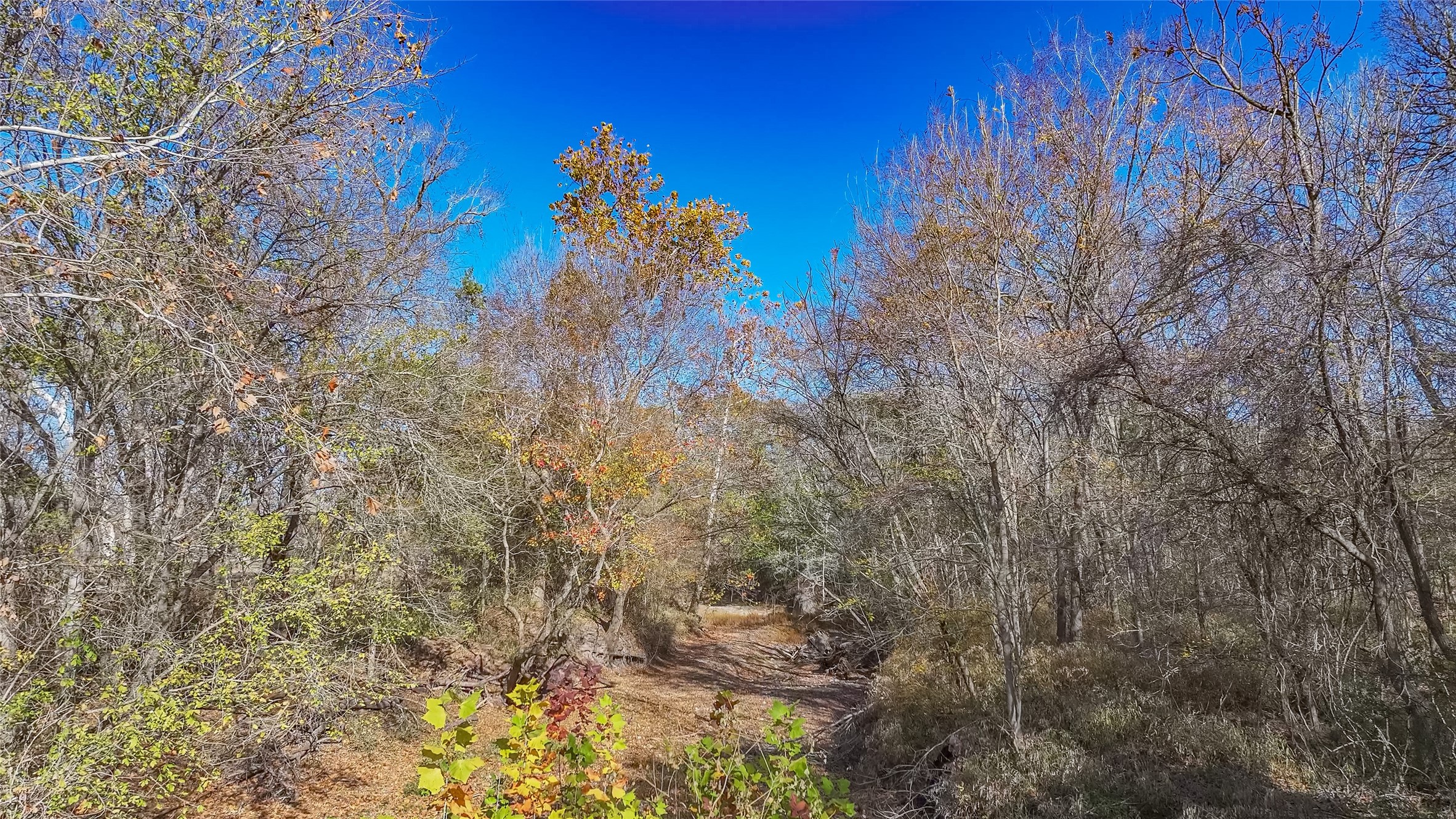 Tbd Bauer Rummel Road Round Top, TX 78954 - Photo 23 of 26