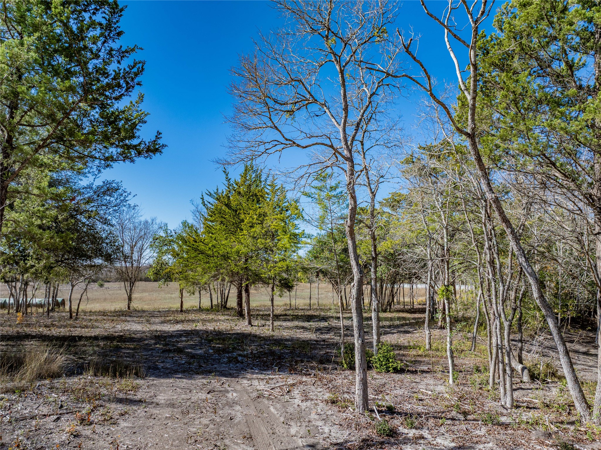 Tbd Bauer Rummel Road Round Top, TX 78954 - Photo 4 of 26 a view of a backyard with trees