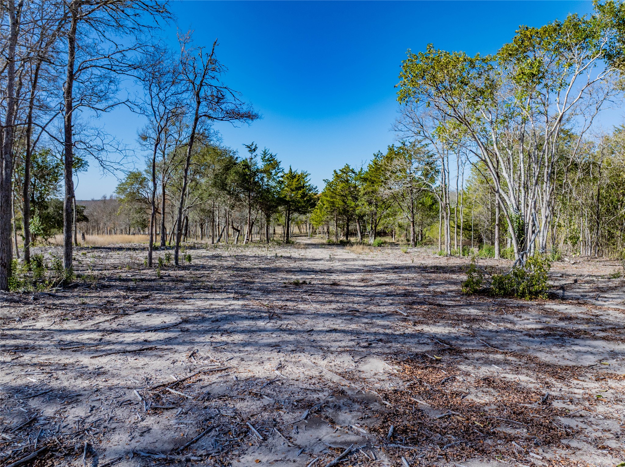 Tbd Bauer Rummel Road Round Top, TX 78954 - Photo 6 of 26 a view of outdoor space with deck and tree
