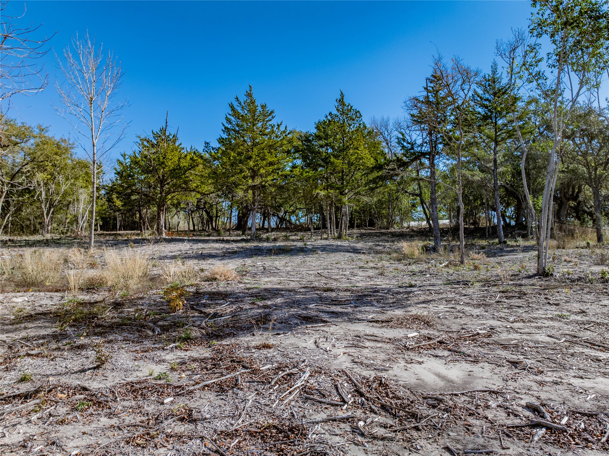 Tbd Bauer Rummel Road Round Top, TX 78954 - Photo 7 of 26 a view of outdoor space with trees