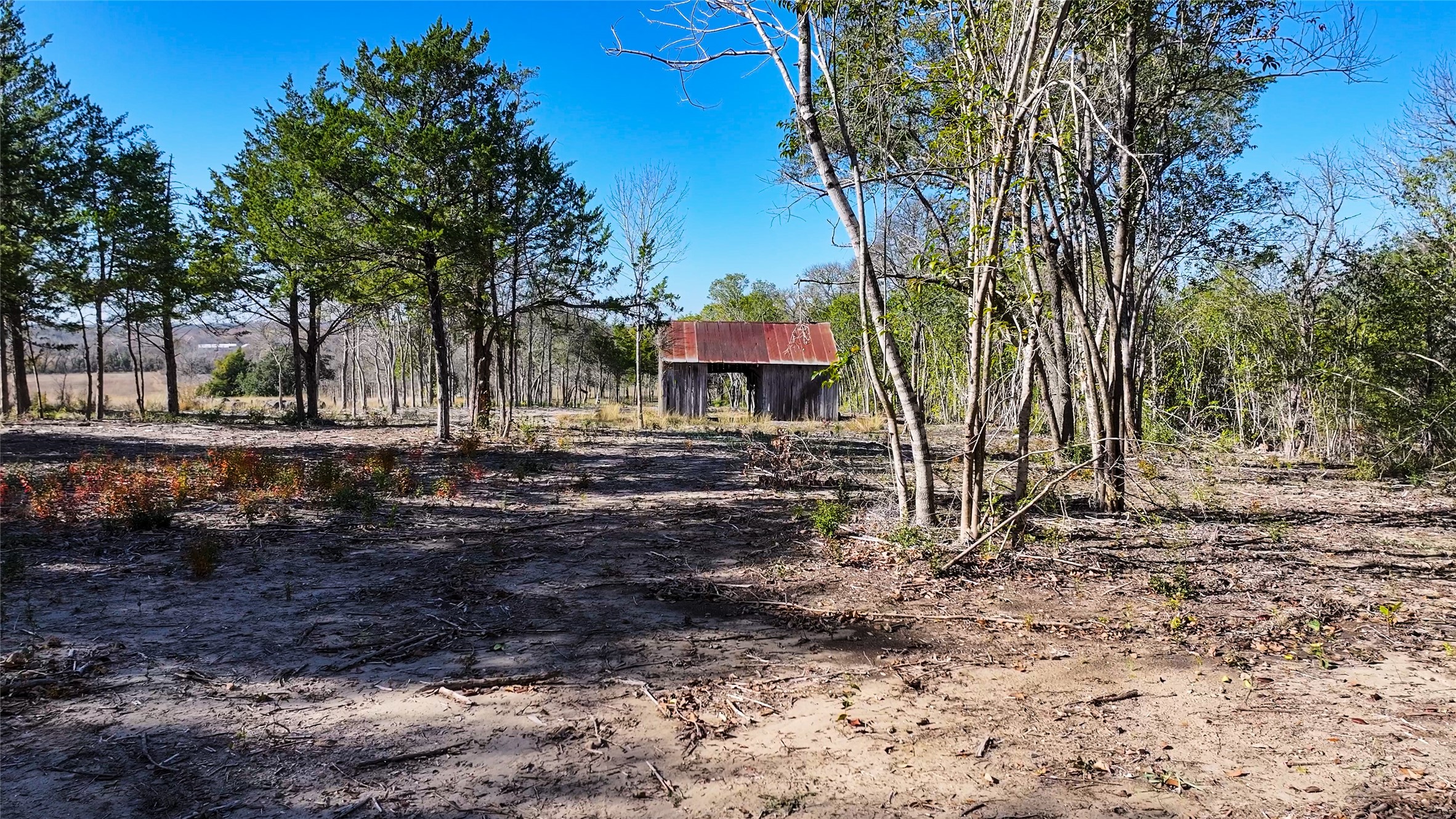 Tbd Bauer Rummel Road Round Top, TX 78954 - Photo 9 of 26 a backyard of a house with lots of green space