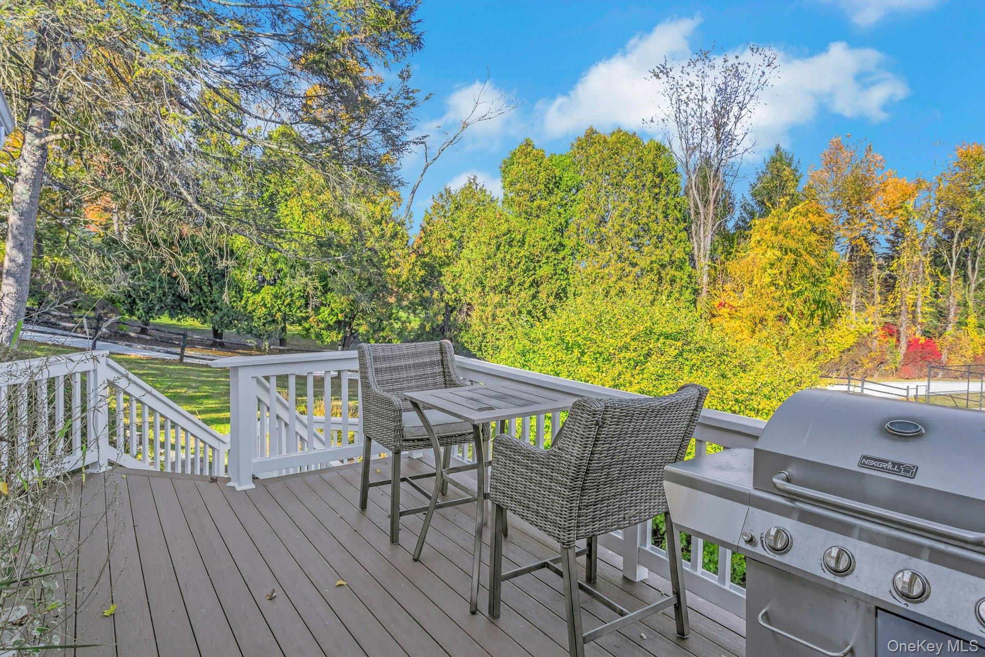 90 Cushman Road Patterson, NY 12563 - Photo 18 of 40 a view of a chairs and table on the wooden deck