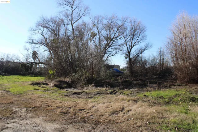 a view of backyard with green space