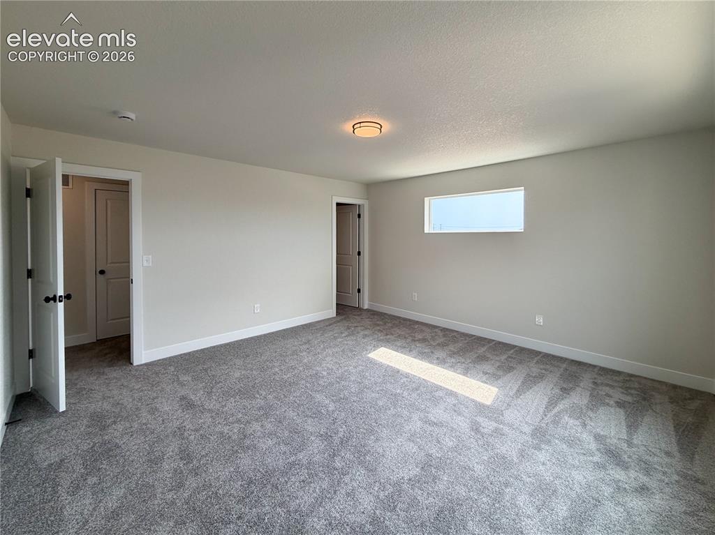 8222 Lemon Grass Road Falcon, CO 80831 - Photo 24 of 40