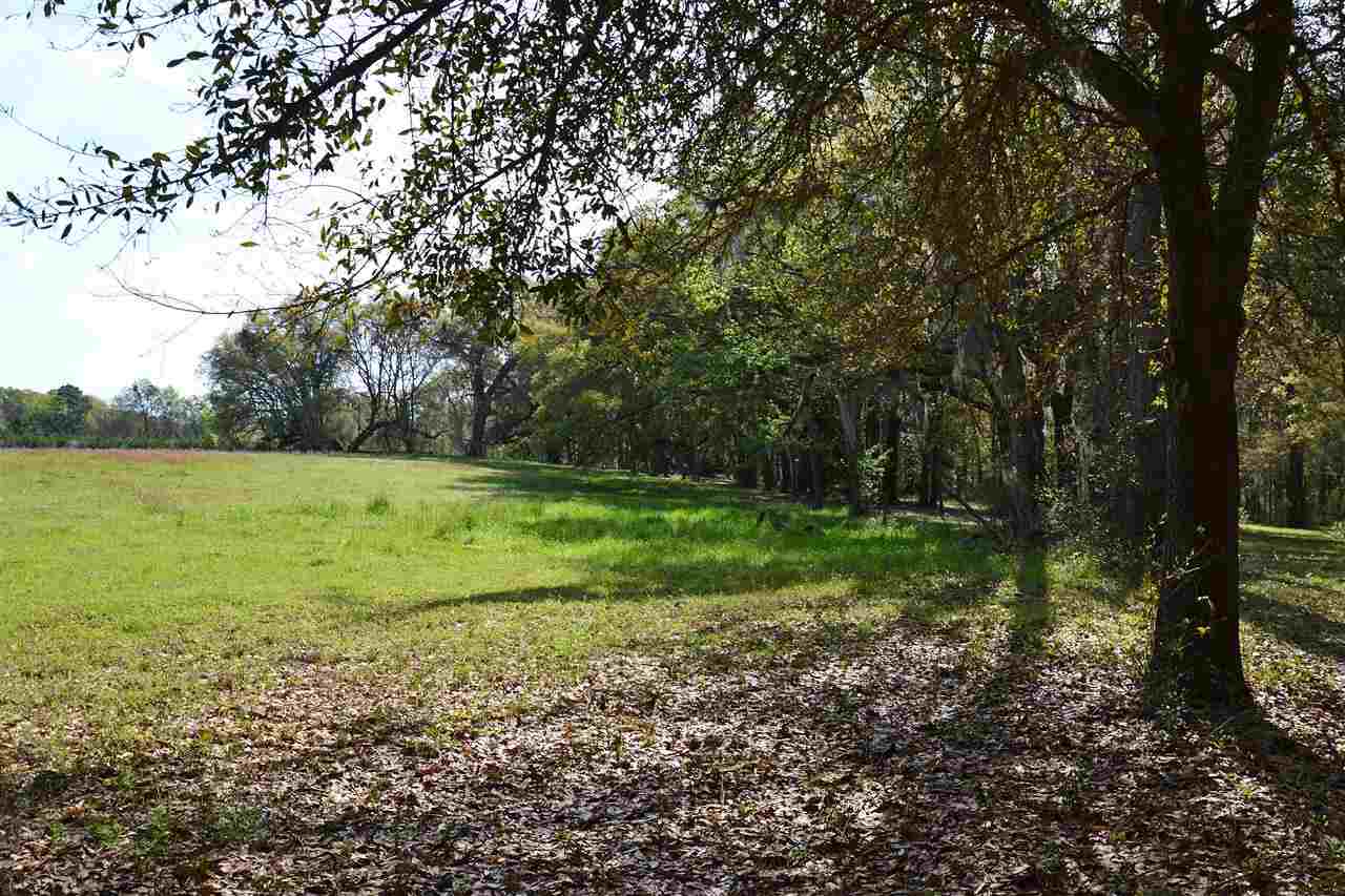 Lot 1 Anhinga Farms Road Tallahassee, FL 32309 - Photo 12 of 14 Gallery Image 12