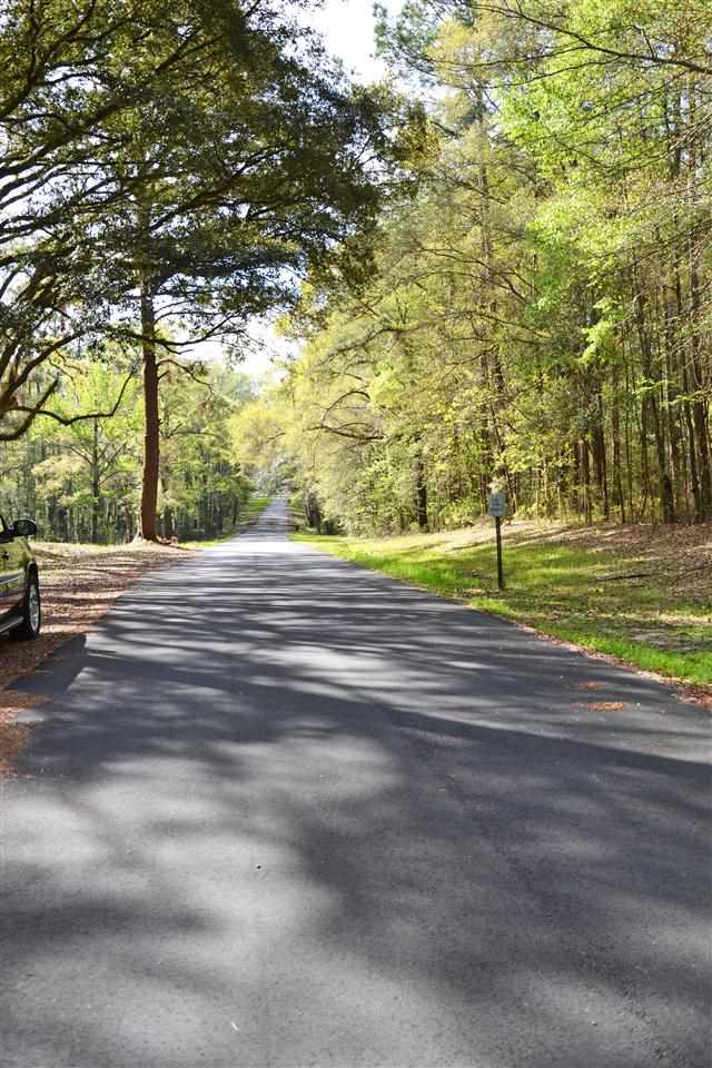 Lot 1 Anhinga Farms Road Tallahassee, FL 32309 - Photo 13 of 14 Gallery Image 13