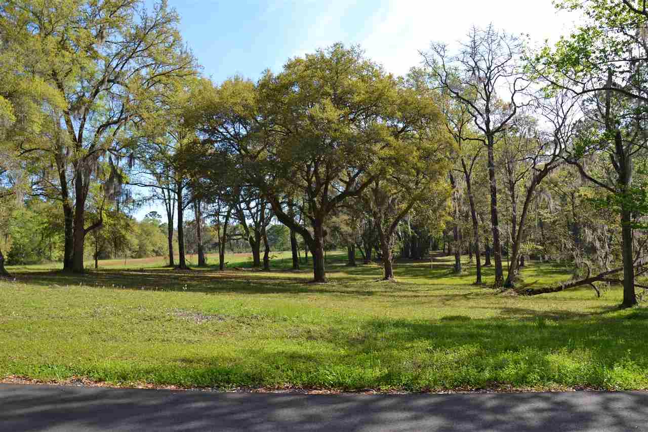 Lot 1 Anhinga Farms Road Tallahassee, FL 32309 - Photo 14 of 14 Gallery Image 14