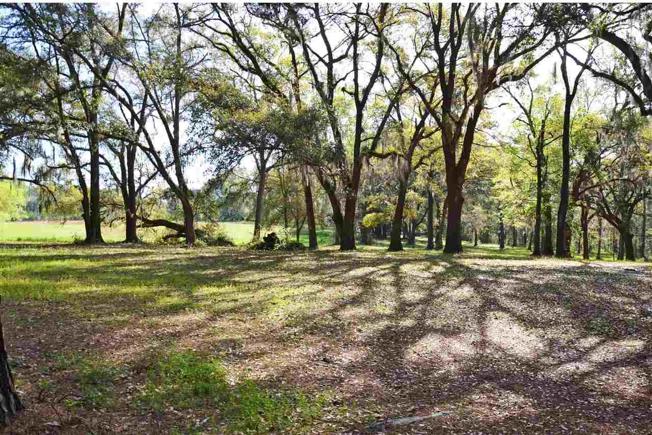 Lot 1 Anhinga Farms Road Tallahassee, FL 32309 - Photo 3 of 14 Gallery Image 3