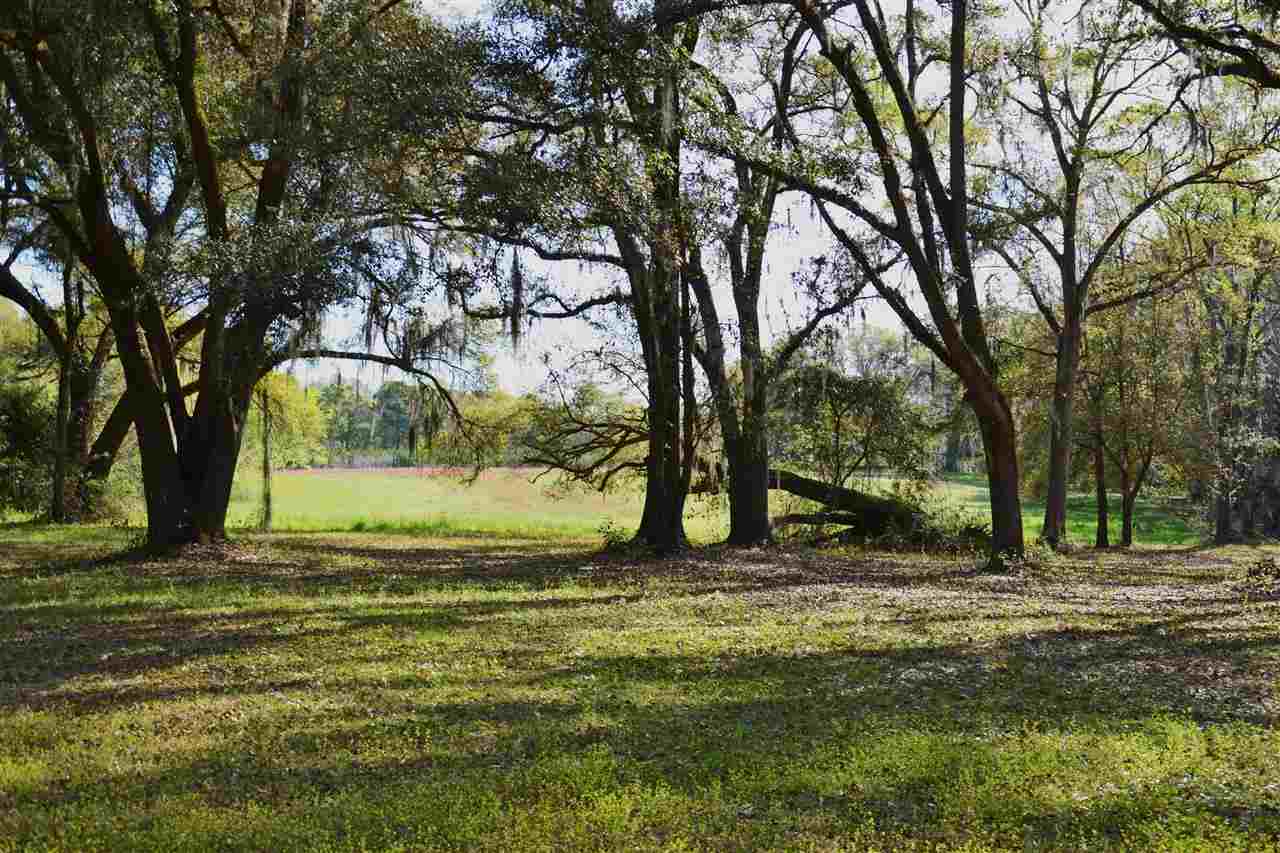 Lot 1 Anhinga Farms Road Tallahassee, FL 32309 - Photo 4 of 14 Gallery Image 4
