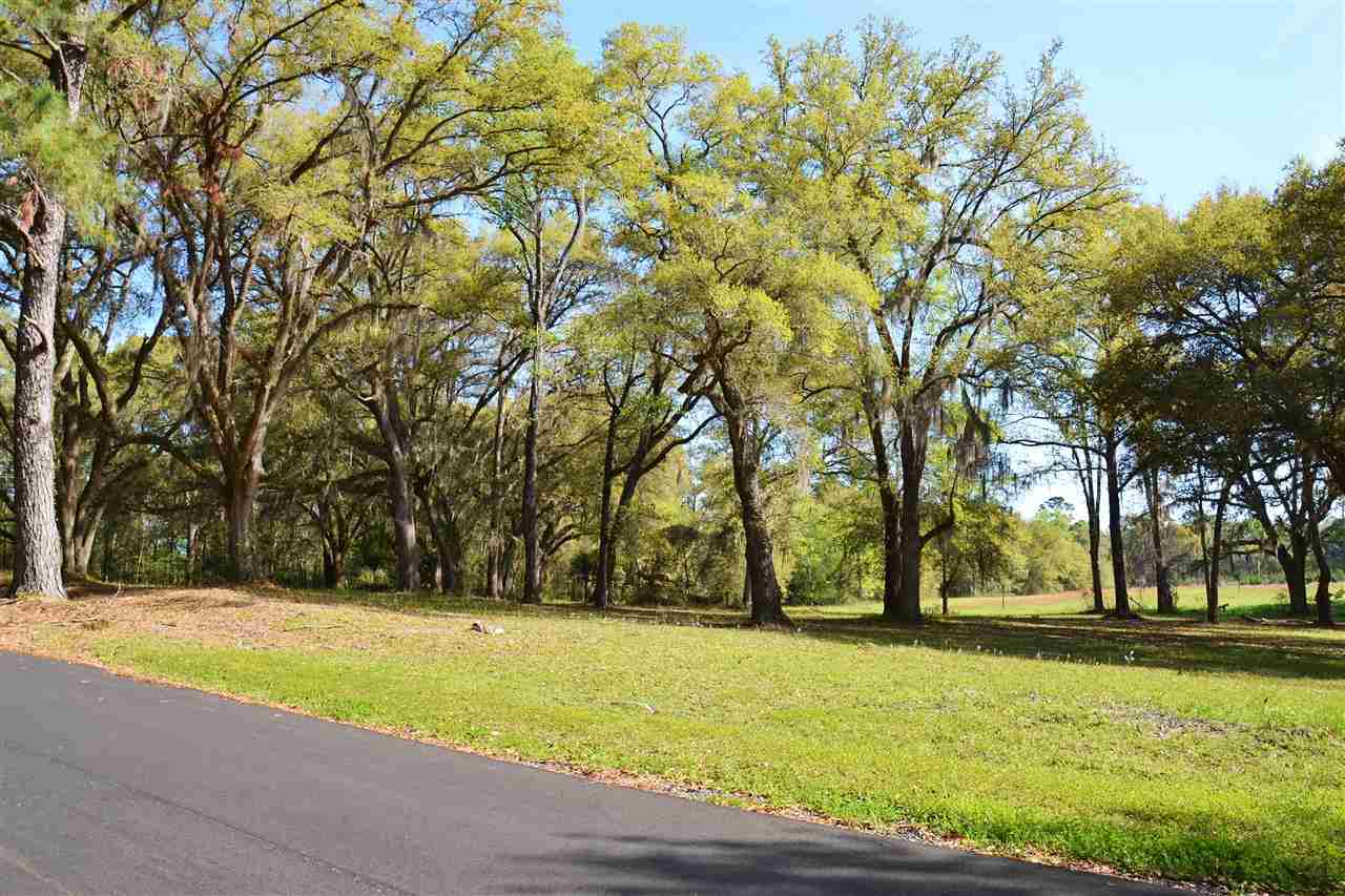 Lot 1 Anhinga Farms Road Tallahassee, FL 32309 - Photo 5 of 14 Gallery Image 5