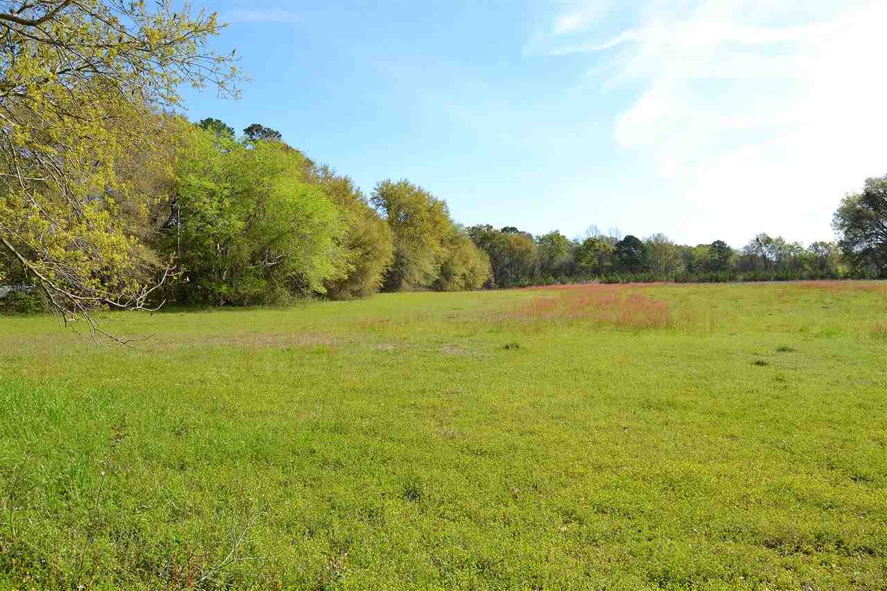 Lot 1 Anhinga Farms Road Tallahassee, FL 32309 - Photo 6 of 14 Gallery Image 6