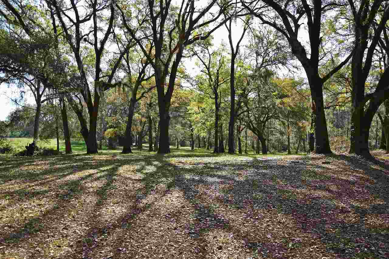 Lot 1 Anhinga Farms Road Tallahassee, FL 32309 - Photo 10 of 14 Gallery Image 10