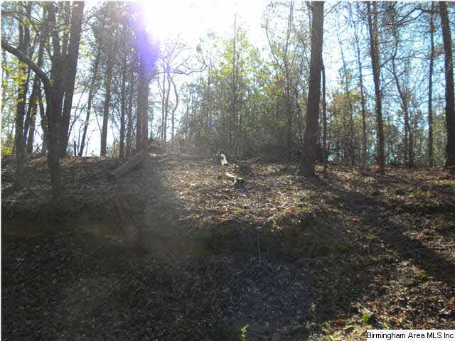 2624 Rocky Ridge Lane Birmingham, AL 35216 - Photo 3 of 25