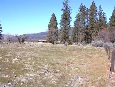 43641 Todd Eymann Road Miramonte, CA 93641 - Photo 3 of 5 Scenic view from the east property line