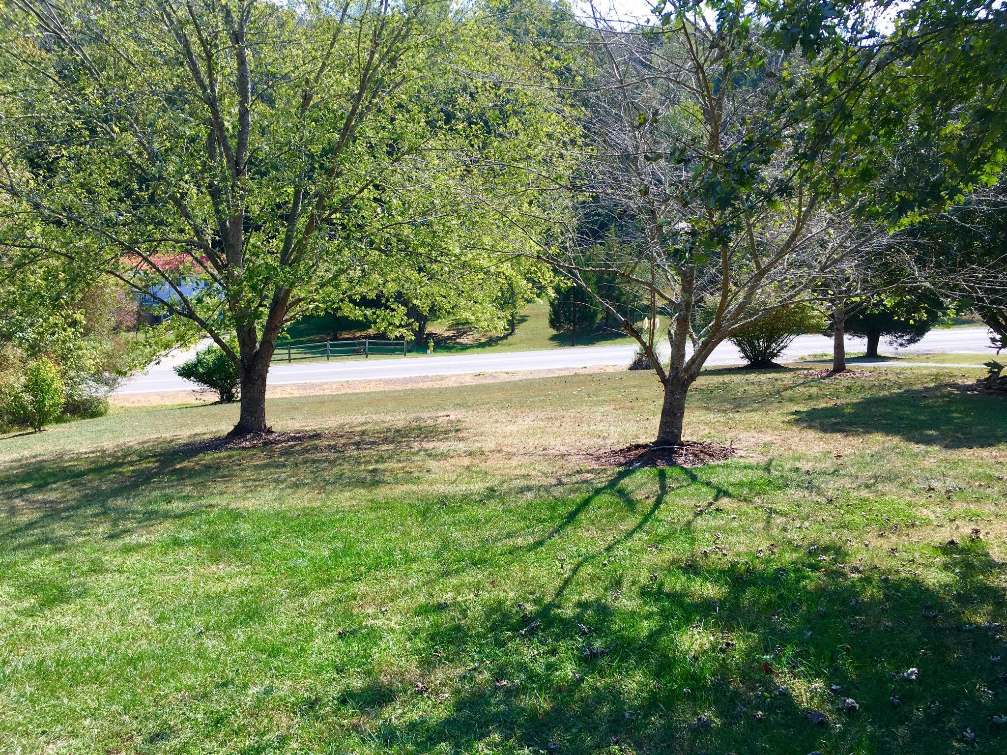 1964 East Wolf Valley Road Heiskell, TN 37754 - Photo 29 of 39 IMG_0395
