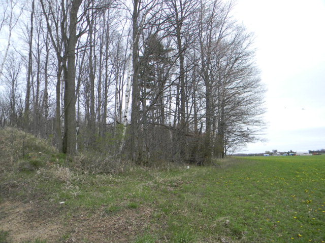 6320 Jorns Road Jacksonport, WI 54209 - Photo 1 of 6