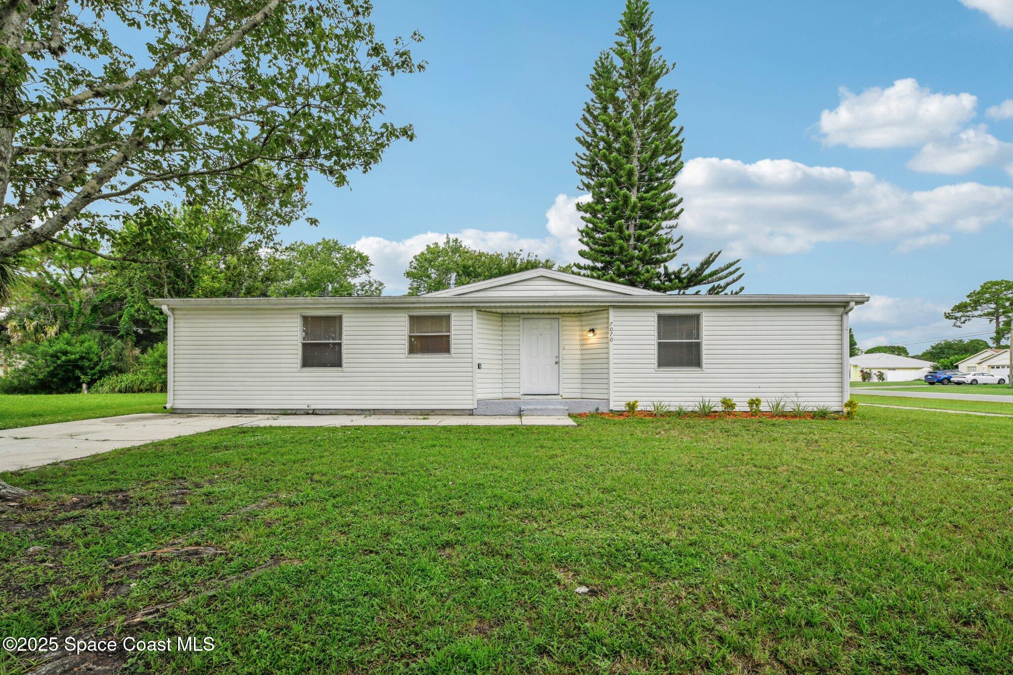 a backyard of a house with plants and large tree